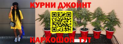 винт Камень-на-Оби