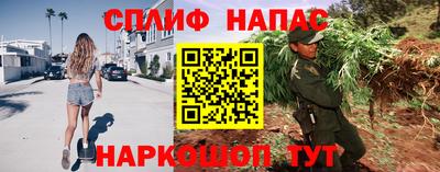 винт Камень-на-Оби