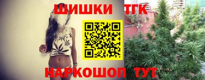 винт Камень-на-Оби