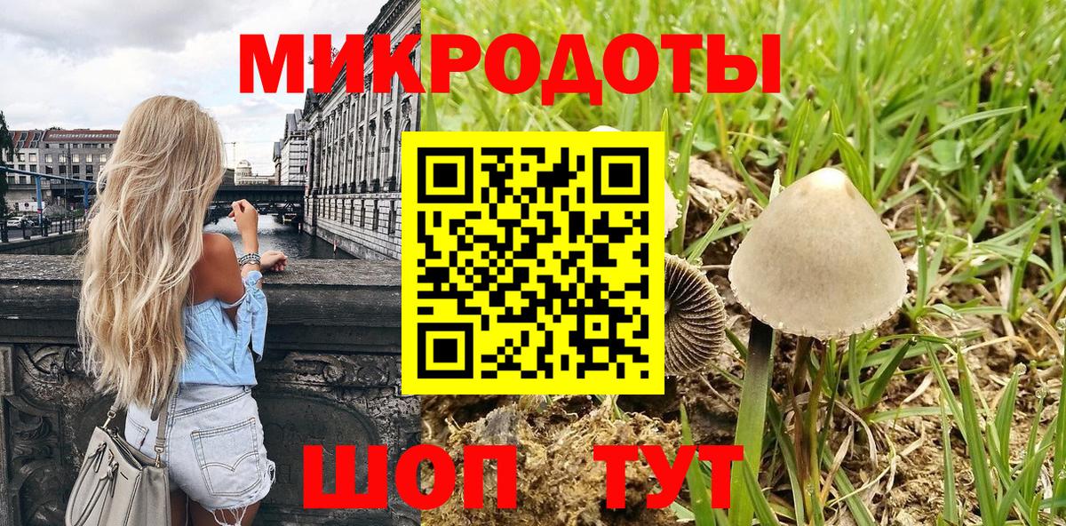 даркнет сайт  Псилоцибиновые грибы Psilocybe  Вход с VPN  Галлюциногенные грибы MAGIC MUSHROOMS  Астрахань 